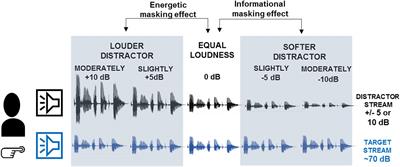 Neuronal Correlates of Informational and Energetic Masking in the Human Brain in a Multi-Talker Situation